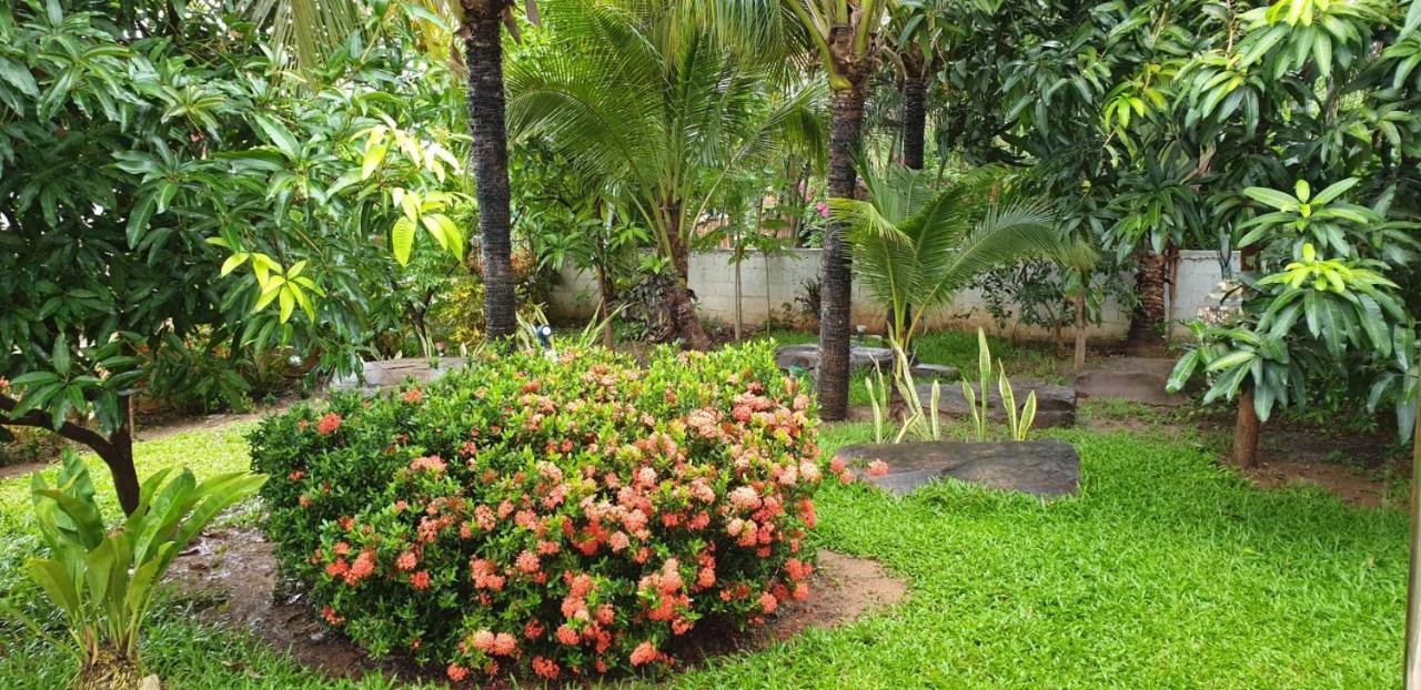 Si Bun Ruang Nuch'S Apple Guest House المظهر الخارجي الصورة